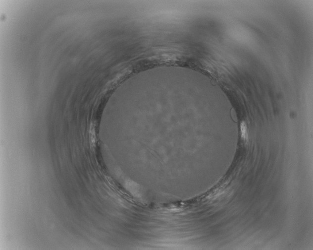 X0000073731203200608101921