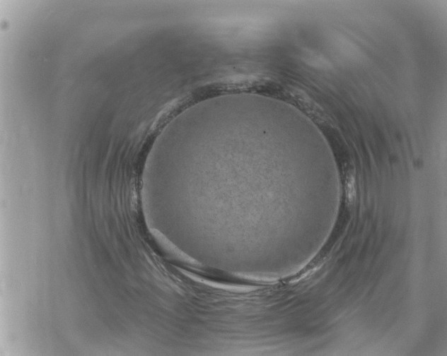 X0000073731204200608101921