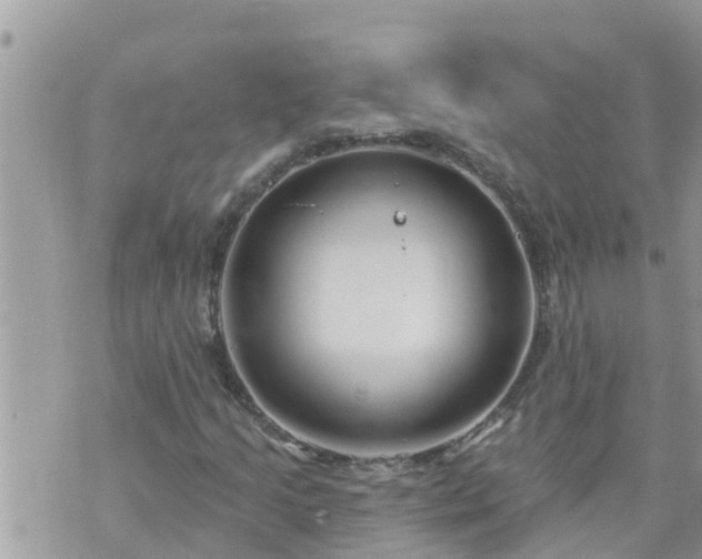 X0000073731205200608101921