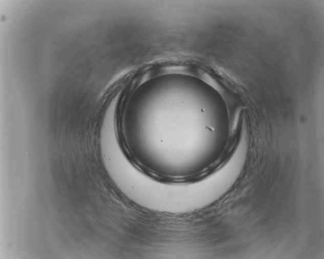 X0000073731206200608101921