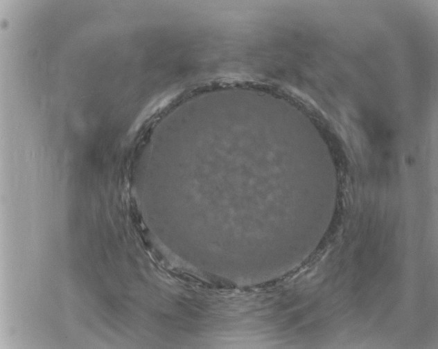 X0000073731207200608101921