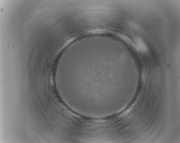 X0000073731209200608101921