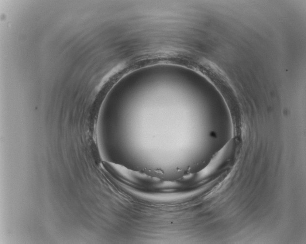 X0000073731210200608101921