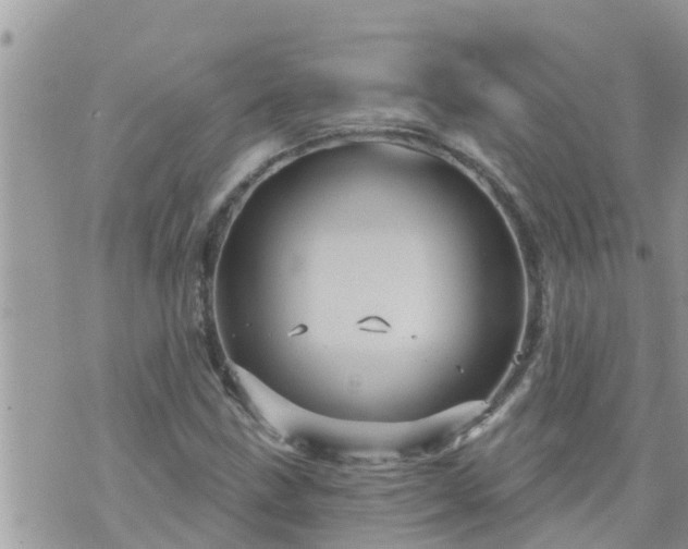 X0000073731211200608101921