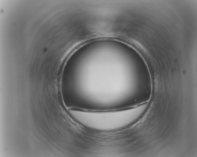 X0000073731212200608101921