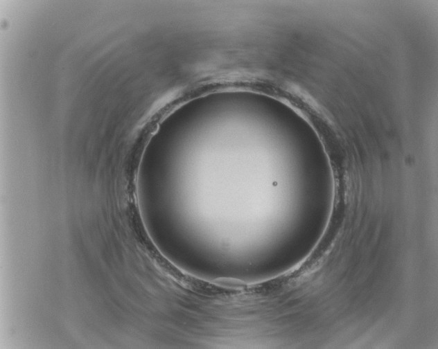 X0000073731213200608101921