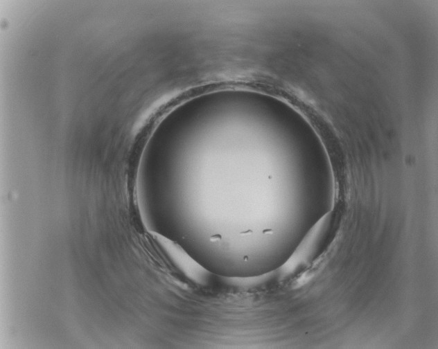 X0000073731214200608101921