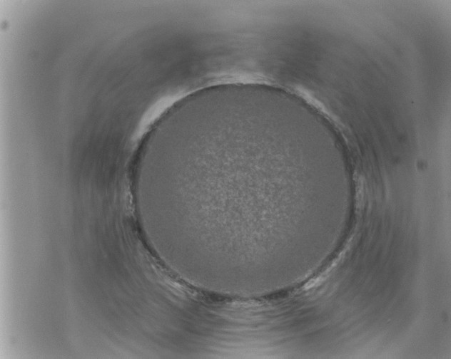 X0000073731215200608101921