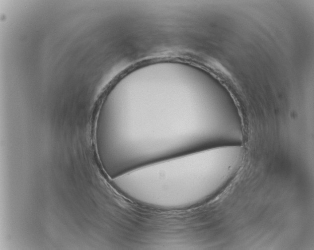 X0000073731216200608101921