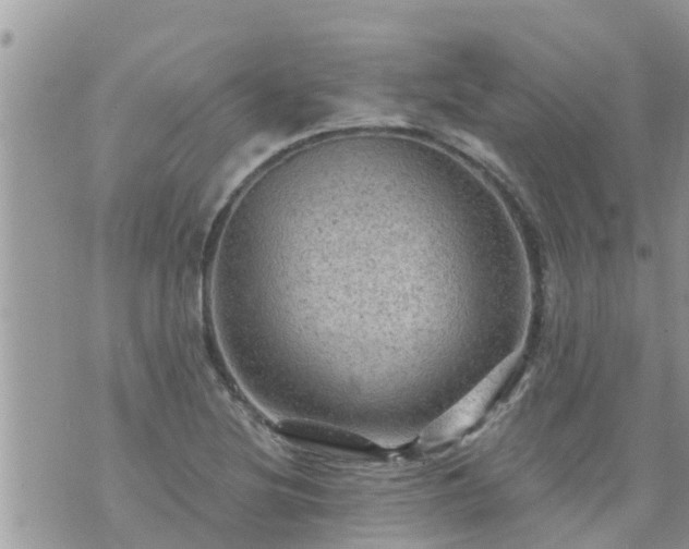 X0000073731220200608101921