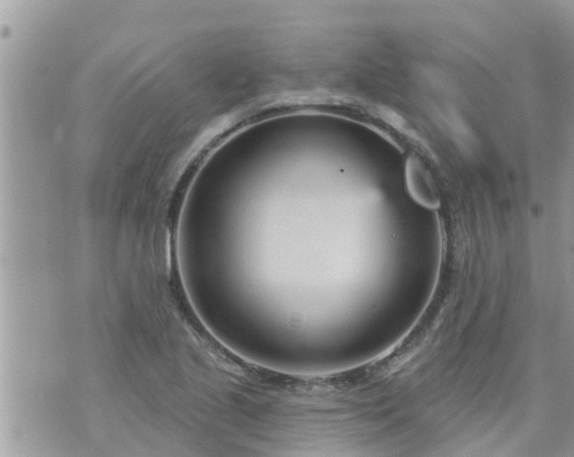 X0000073731221200608101921