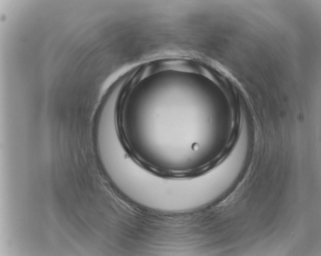 X0000073731222200608101921