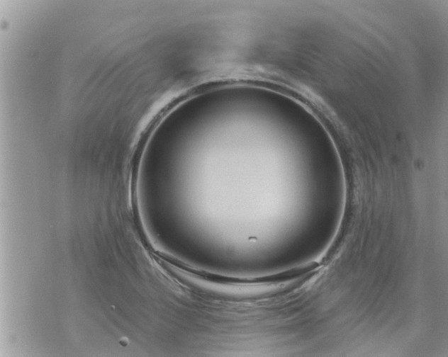 X0000073731224200608101921