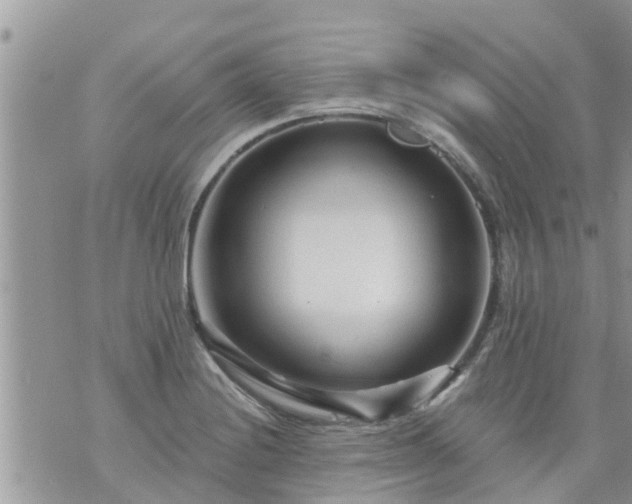 X0000073731228200608101921