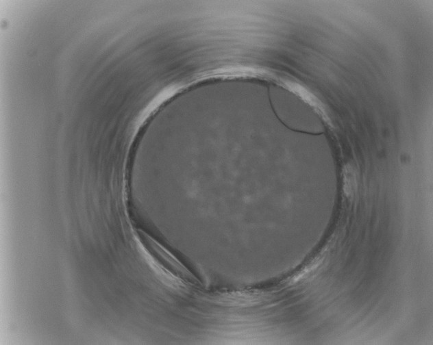 X0000073731229200608101921