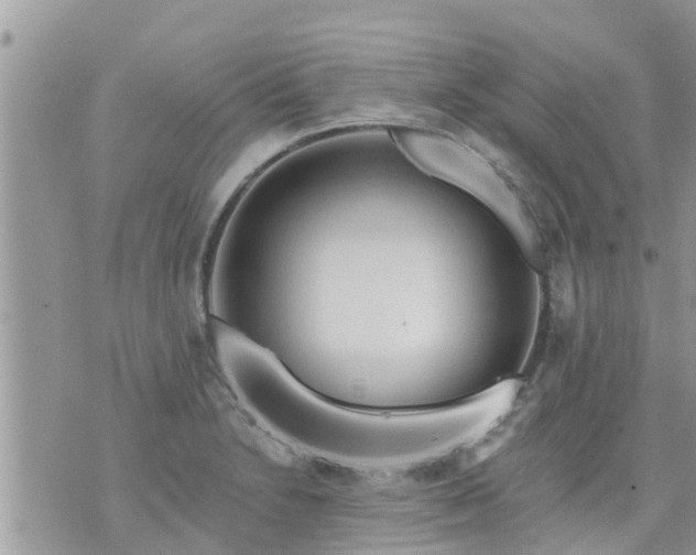 X0000073731230200608101921