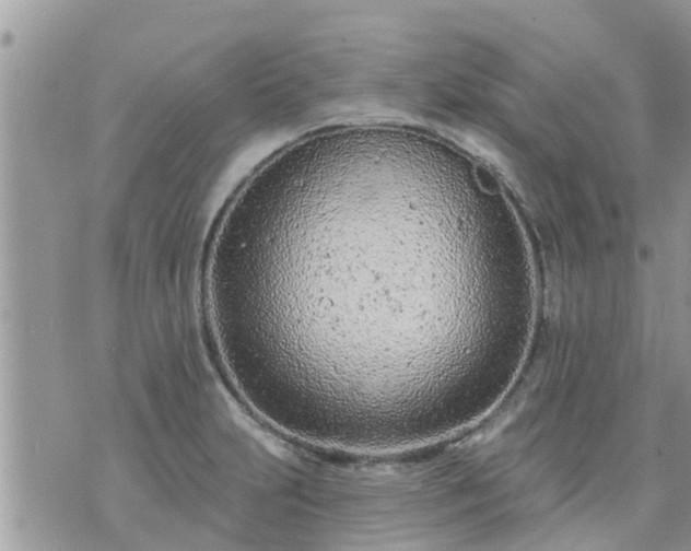 X0000073731231200608101921