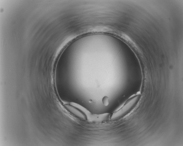 X0000073731232200608101921