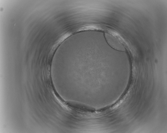 X0000073731233200608101921