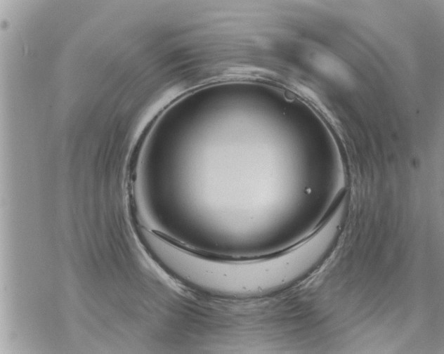 X0000073731235200608101922