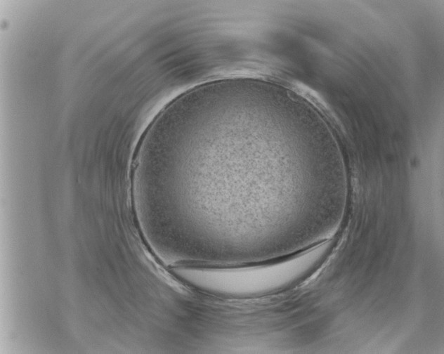 X0000073731236200608101922