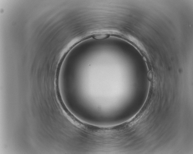 X0000073731237200608101922