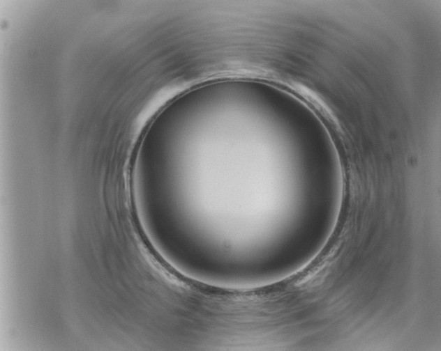 X0000073731238200608101922