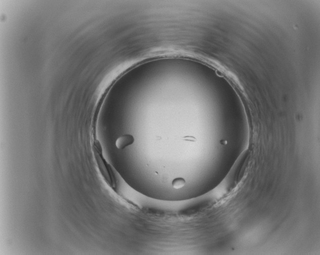 X0000073731239200608101922