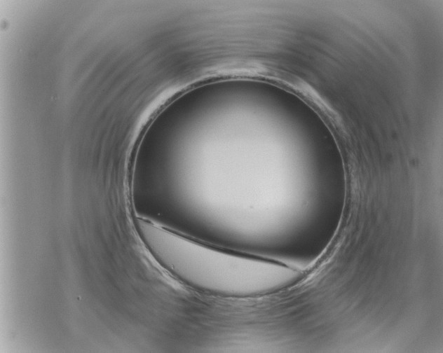 X0000073731240200608101922