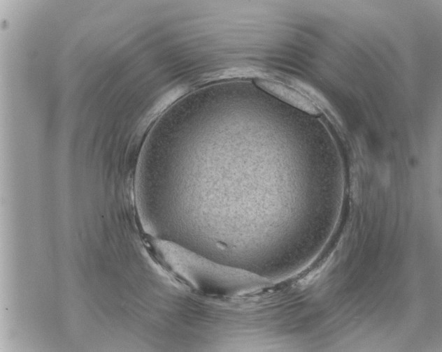 X0000073731241200608101922