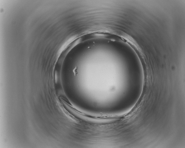 X0000073731242200608101922