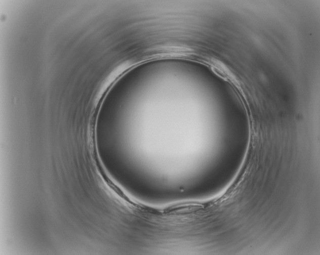 X0000073731243200608101922