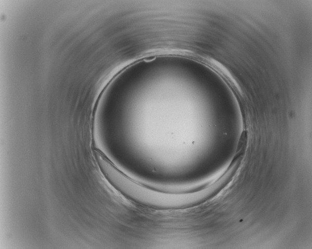 X0000073731244200608101922