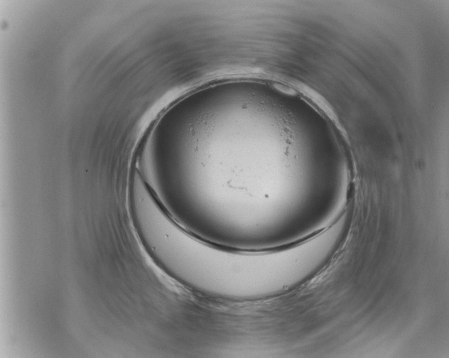 X0000073731245200608101922