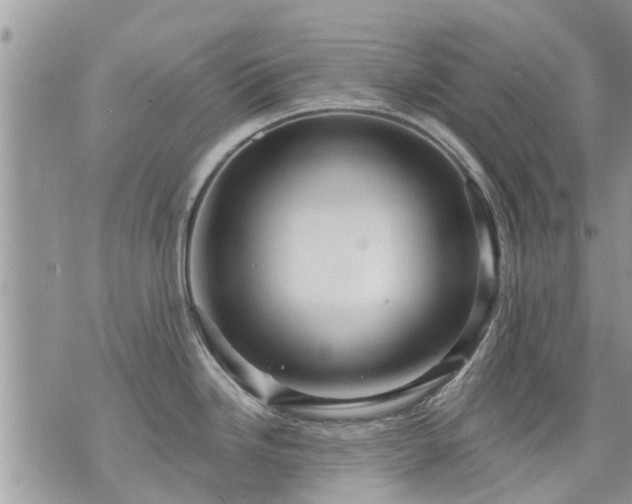 X0000073731246200608101922