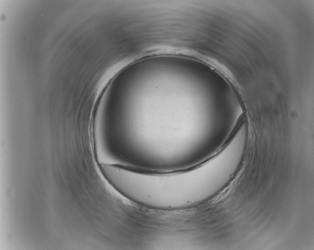 X0000073731247200608101922