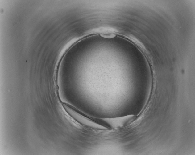 X0000073731248200608101922