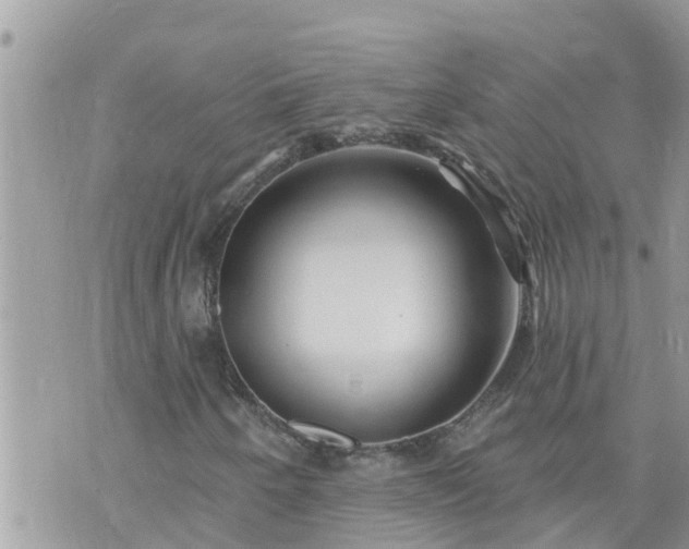 X0000073731250200608101921