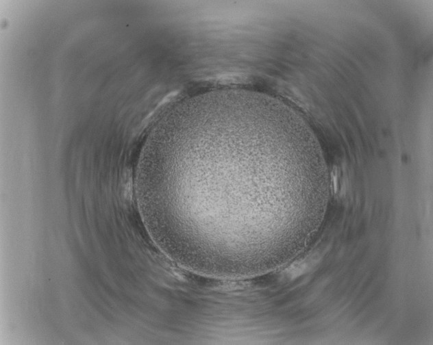 X0000073731251200608101921