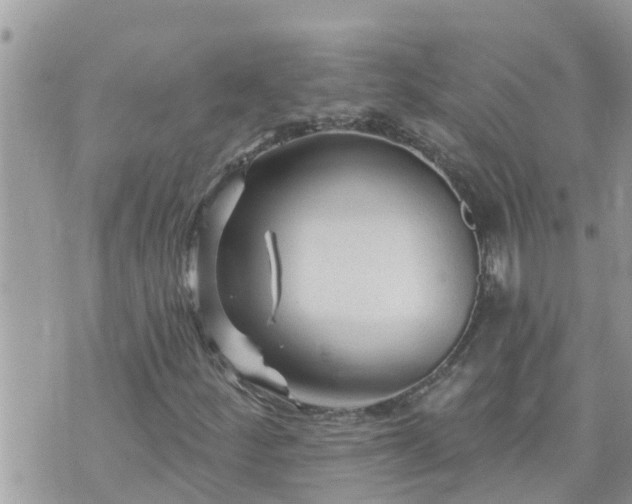 X0000073731252200608101921