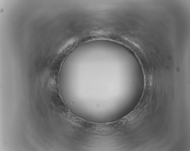 X0000073731254200608101921