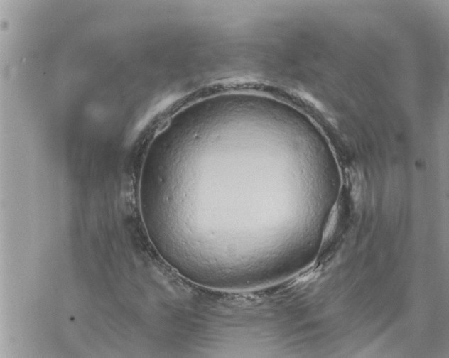 X0000073731255200608101921