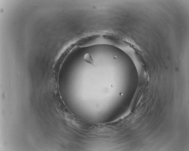 X0000073731256200608101921