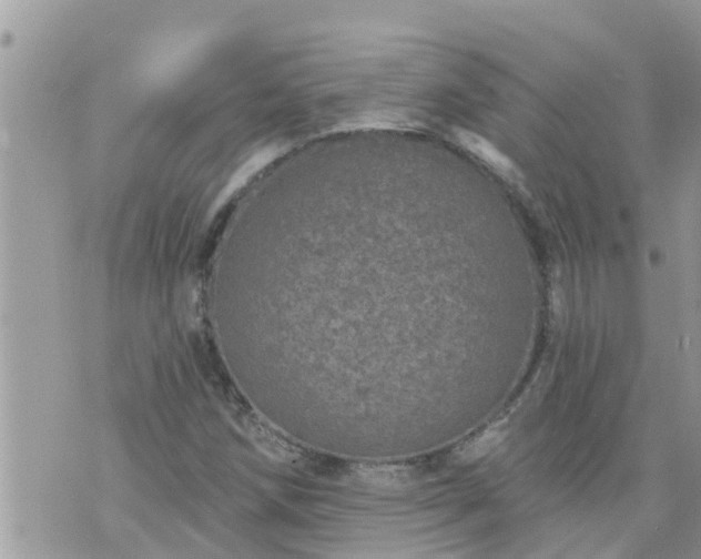 X0000073731258200608101921