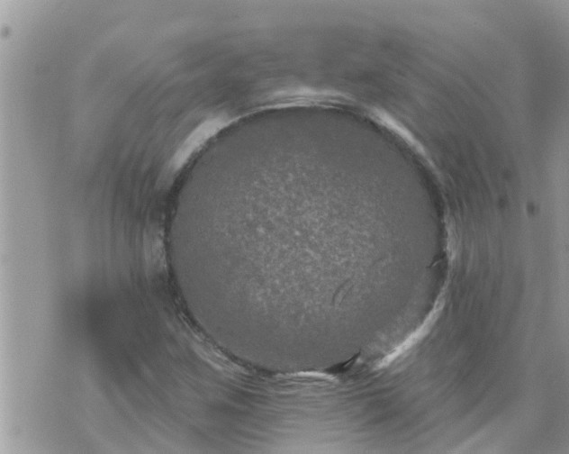 X0000073731259200608101921