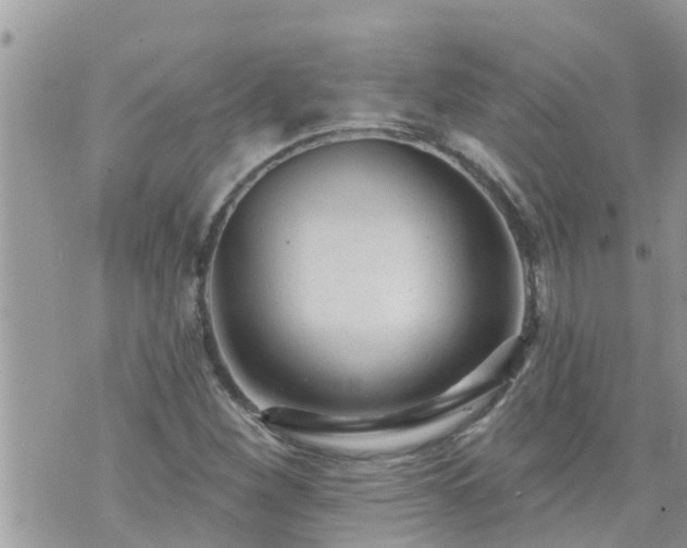 X0000073731260200608101921