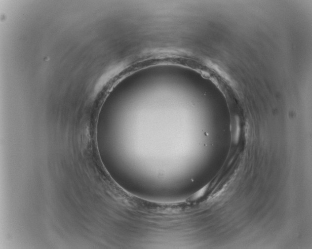 X0000073731261200608101921