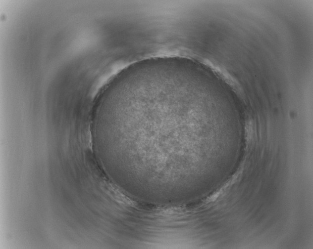 X0000073731262200608101921