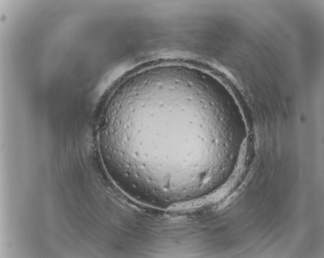 X0000073731263200608101921