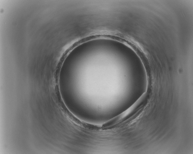 X0000073731264200608101921